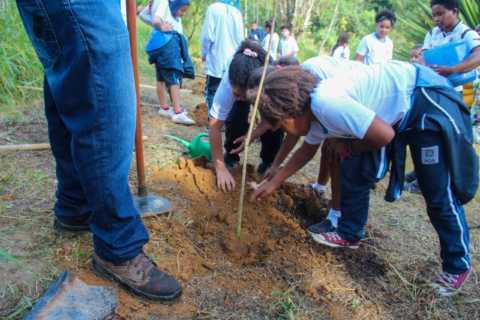 poa-realiza-varias-atividades-no-mes-do-meio-ambiente