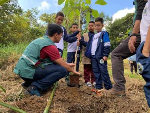 poa-comemora-o-dia-mundial-do-meio-ambiente