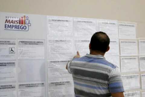 suzano-mais-emprego-reune-625-vagas-para-diversos-cargos;-veja-como-se-candidatar