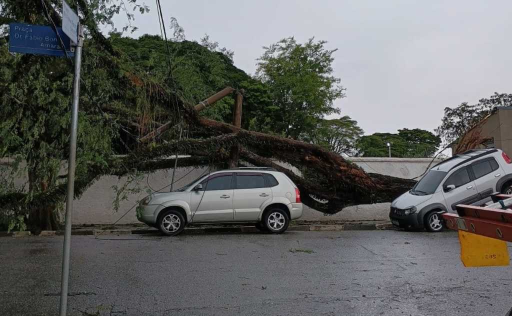 edp-registra-mais-de-700-ocorrencias-no-alto-tiete-apos-temporal-desta-sexta