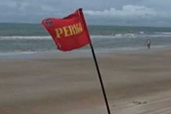 pernambuco-vai-voltar-a-monitorar-tubaroes-em-julho-apos-11-anos